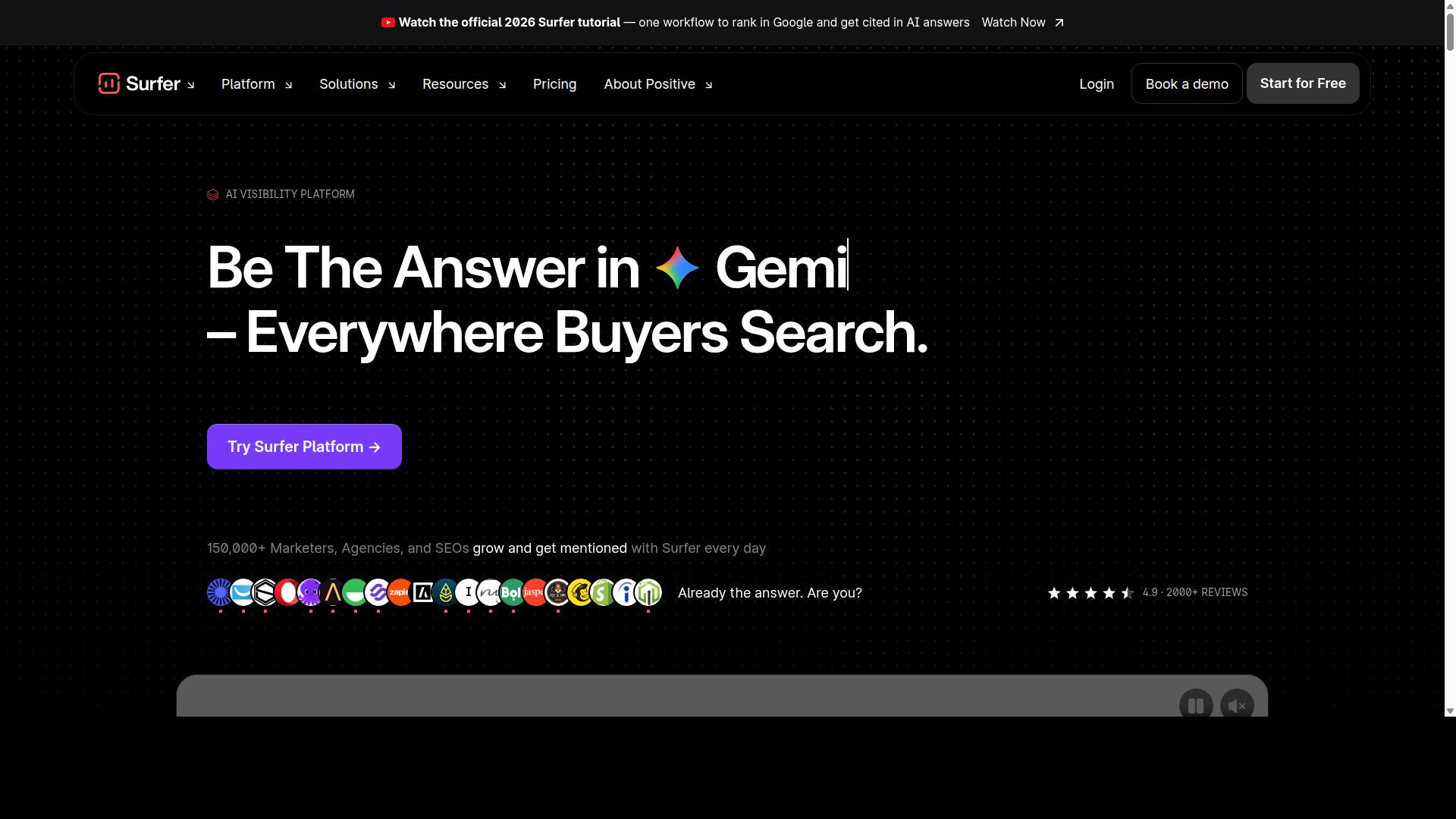 Surfer SEO website